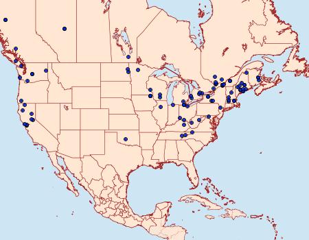 Distribution Data for Epinotia lindana