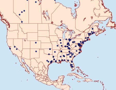 Distribution Data for Ancylis comptana of authors