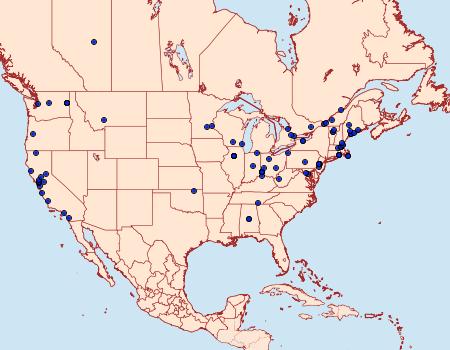 Distribution Data for Aspila prunivora