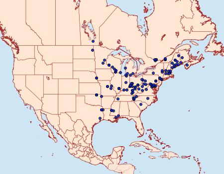 Distribution Data for Acleris subnivana