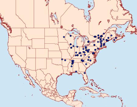 Distribution Data for Acleris chalybeana