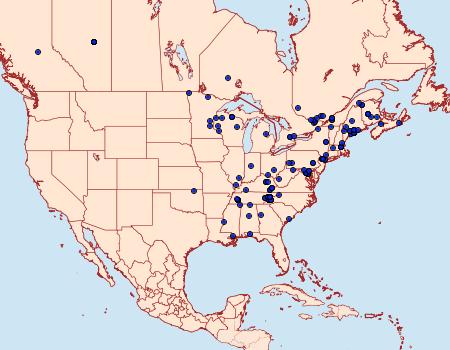 Distribution Data for Acleris placidana