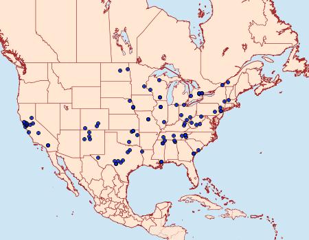 Distribution Data for Decodes basiplagana