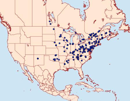 Distribution Data for Pandemis lamprosana