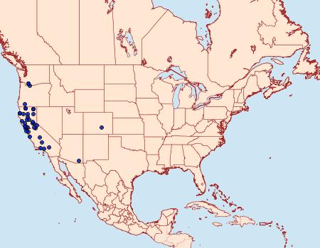 Distribution Data for Phymatopus hectoides