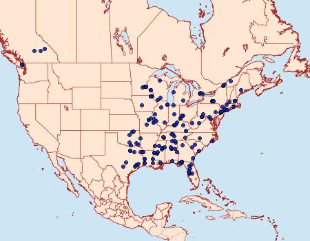 Distribution Data for Archips grisea