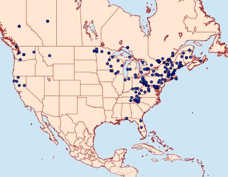 Distribution Data for Syndemis afflictana