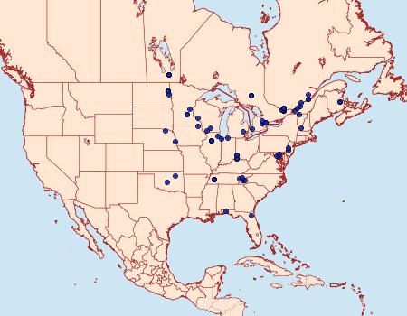 Distribution Data for Adoxophyes negundana