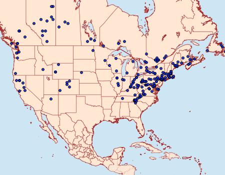 Distribution Data for Sparganothis xanthoides