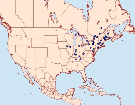 Distribution Data for Cenopis mesospila
