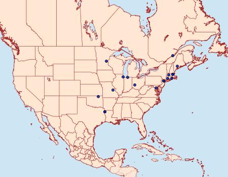Distribution Data for Cochylichroa aurorana