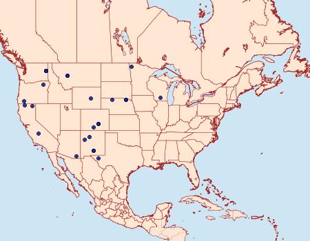 Distribution Data for Henricus infernalis