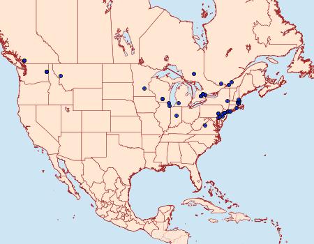 Distribution Data for Etainia sericopeza