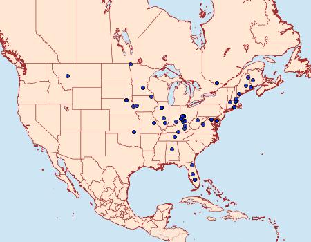 Distribution Data for Thyraylia bunteana