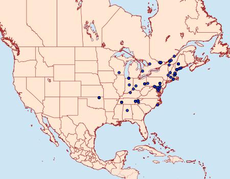 Distribution Data for Thyraylia hollandana
