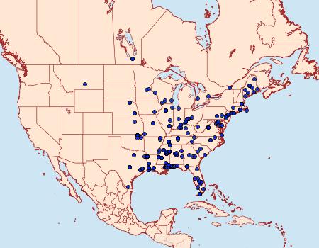Distribution Data for Tinea apicimaculella