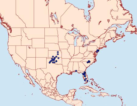 Distribution Data for Hesperia attalus