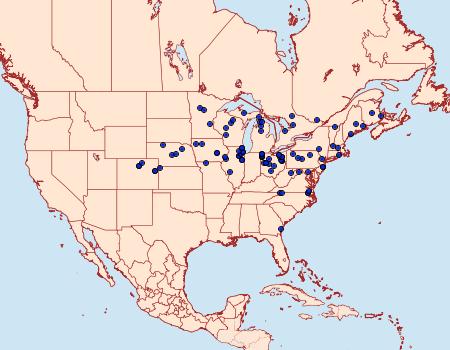 Distribution Data for Euphyes bimacula