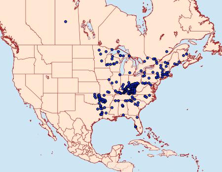 Distribution Data for Amblyscirtes hegon