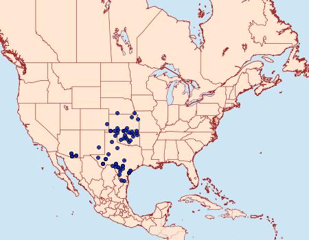 Distribution Data for Amblyscirtes nysa