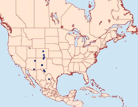 Distribution Data for Amblyscirtes phylace