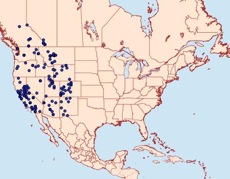 Distribution Data for Anthocharis sara