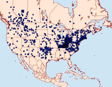 Distribution Data for Colias philodice