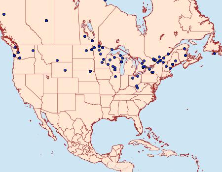Distribution Data for Monopis spilotella