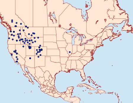 Distribution Data for Tharsalea heteronea
