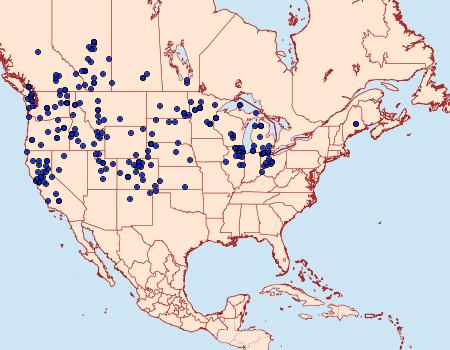 Distribution Data for Tharsalea helloides