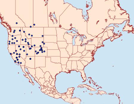 Distribution Data for Glaucopsyche piasus