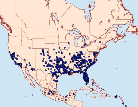 Distribution Data for Dione incarnata