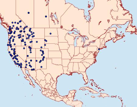 Distribution Data for Nymphalis californica