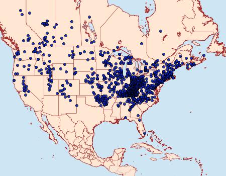 Distribution Data for Argynnis cybele