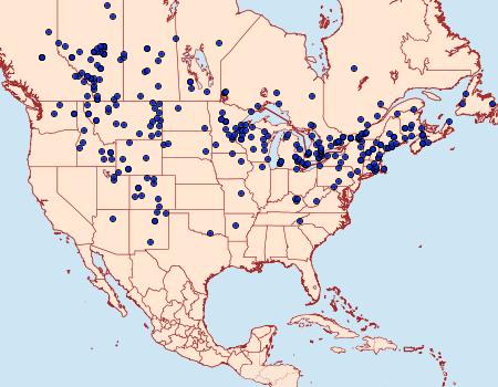 Distribution Data for Phyciodes cocyta
