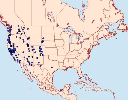 Distribution Data for Phyciodes mylitta