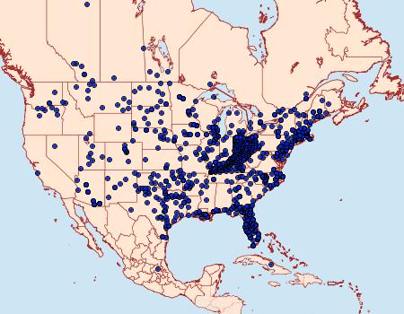 Distribution Data for Limenitis archippus