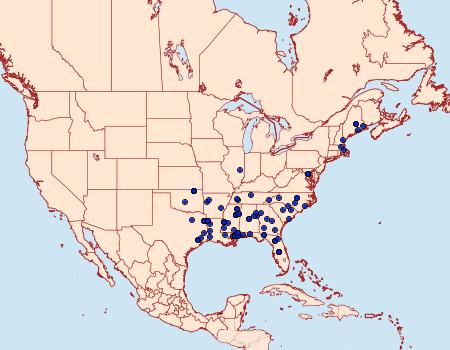 Distribution Data for Heterogenea shurtleffi