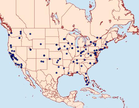Distribution Data for Bedellia somnulentella