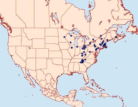 Distribution Data for Packardia elegans