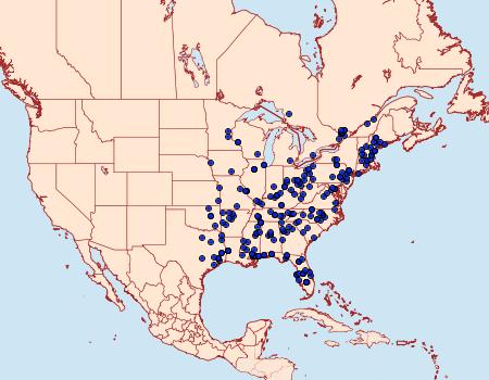 Distribution Data for Phobetron pithecium