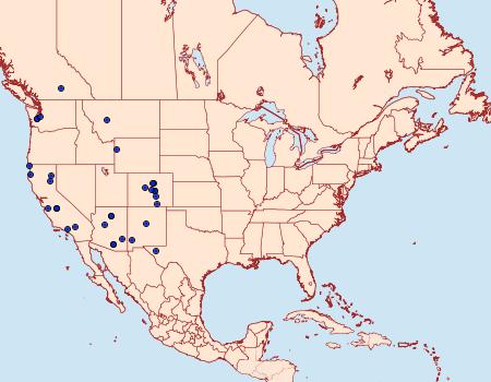 Distribution Data for Eudonia torniplagalis
