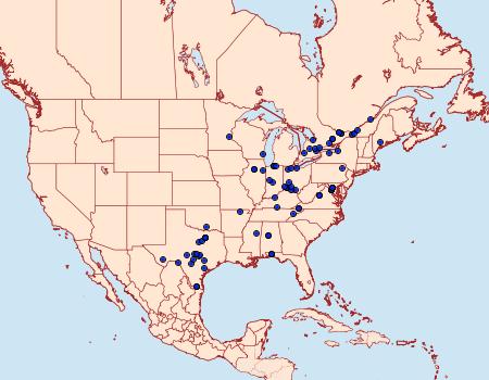 Distribution Data for Petrophila bifascialis