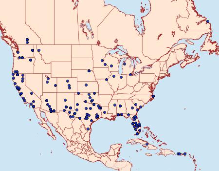 Distribution Data for Microtheoris ophionalis