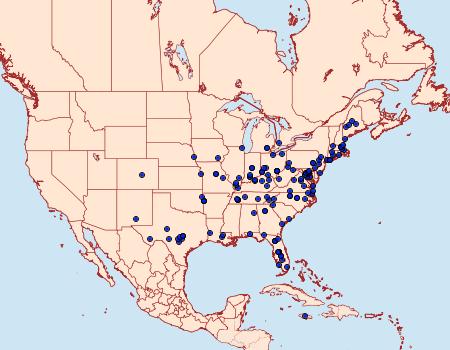 Distribution Data for Evergestis rimosalis