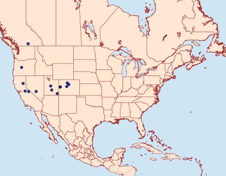 Distribution Data for Evergestis palousalis