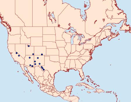 Distribution Data for Evergestis obliqualis
