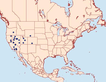 Distribution Data for Loxostege indentalis