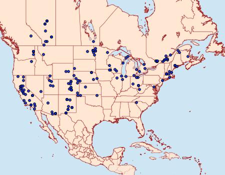 Distribution Data for Loxostege munroealis