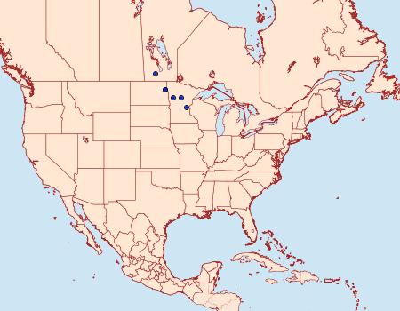 Distribution Data for Pyrausta pythialis